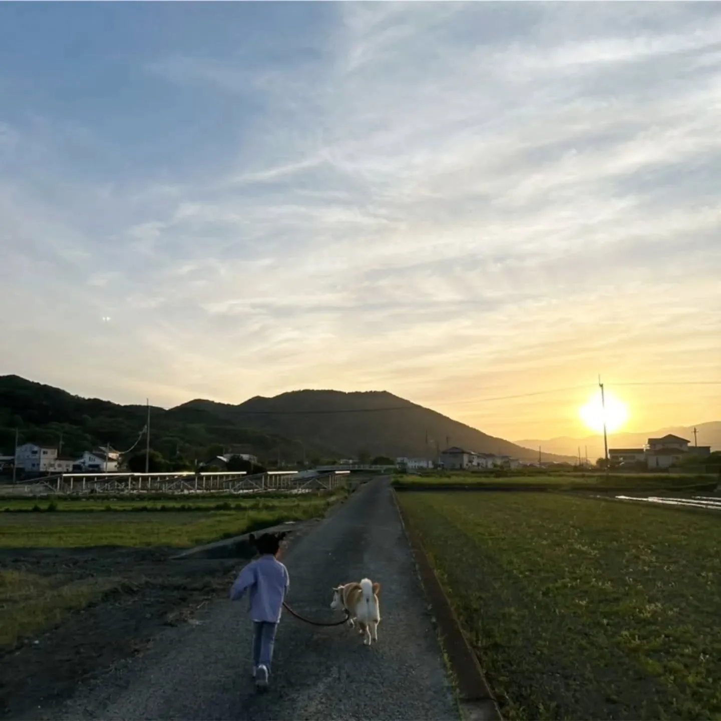 吉野川市の魅力 vol.2💁